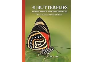 The Lives of Butterflies: A Natural History of Our Planet's Butterfly Life
