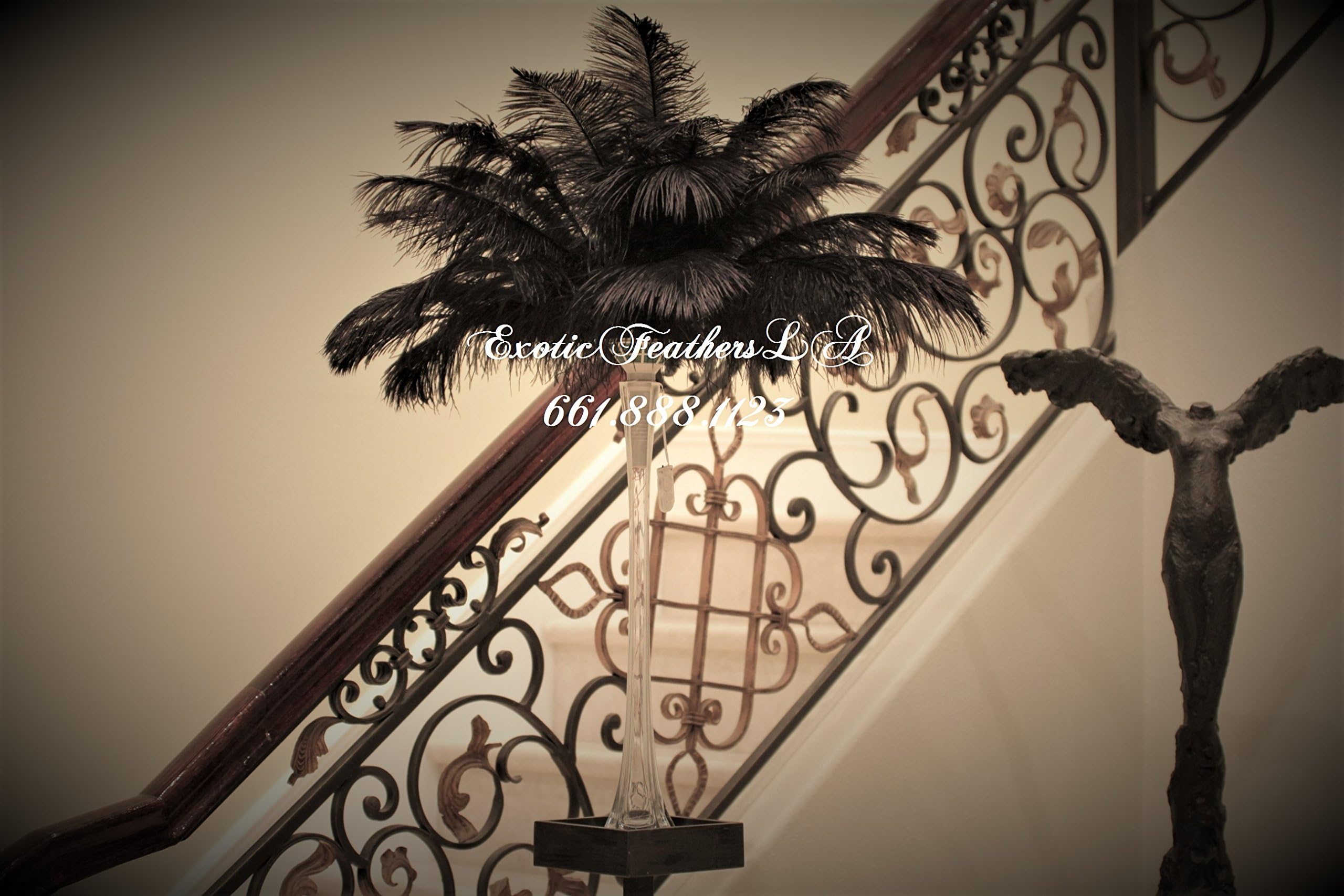 Black Ostrich Feathers 100 Pcs. 15-18" Black Deluxe Tail Plumes Extravagant Black Feathers