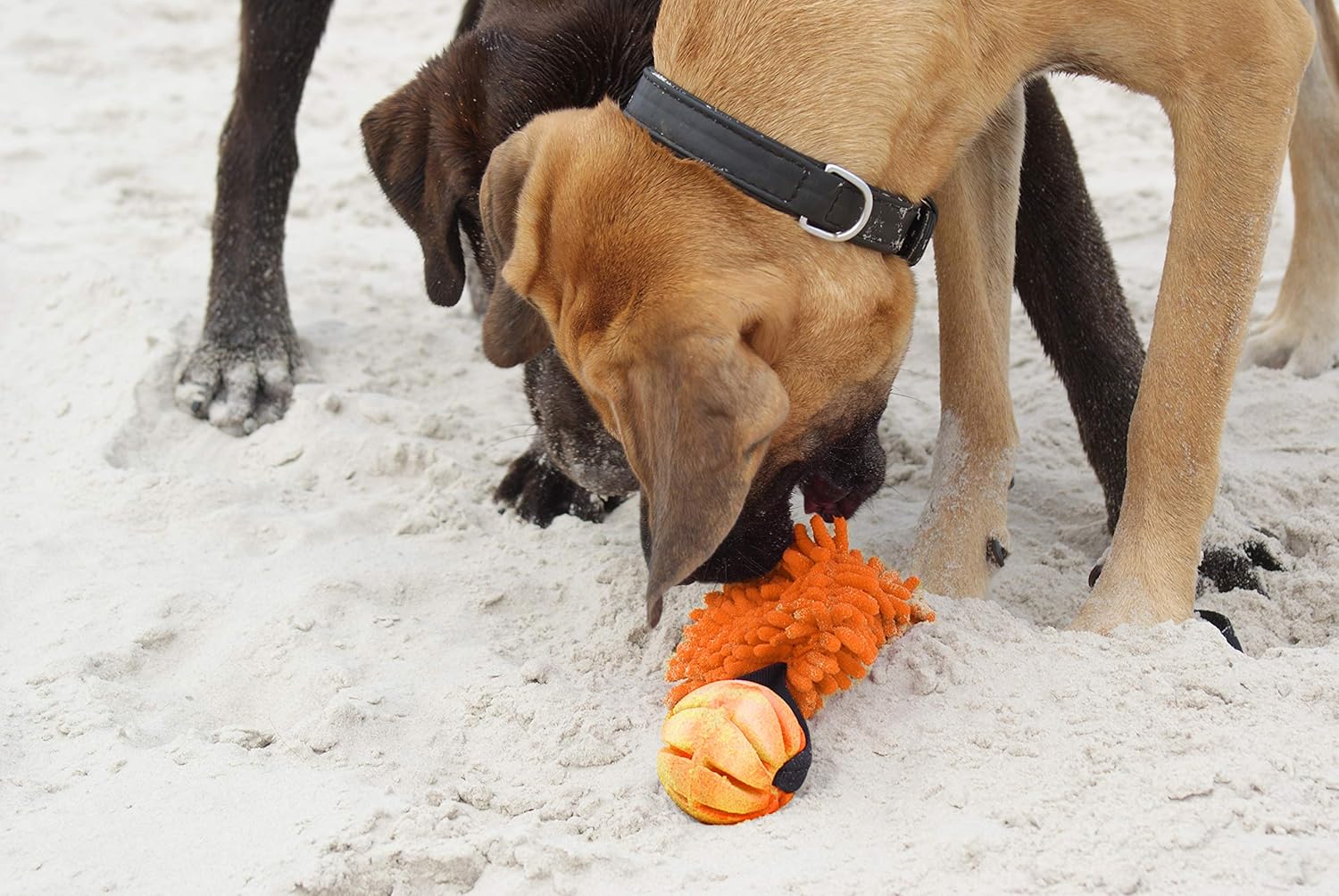 DINGO Floatable Tug Toy with a Flavoured Ball and Bungee Handle, Handmade Dog Chaser for Play Tug of War, Agility, Fetch - Image 5