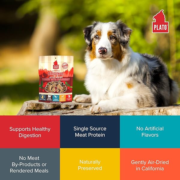 PLATO TURKEY REAL STRIPS NATURAL DOG TREATS – REAL MEAT – AIR DRIED – MADE IN THE USA – TURKEY & CRANBERRY, 3 OUNCES