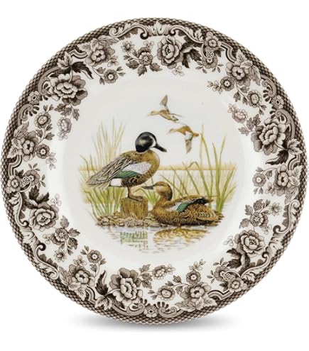 Amazon.com | Spode Woodland Blue-Winged Teal Dinner Plate - 10.5