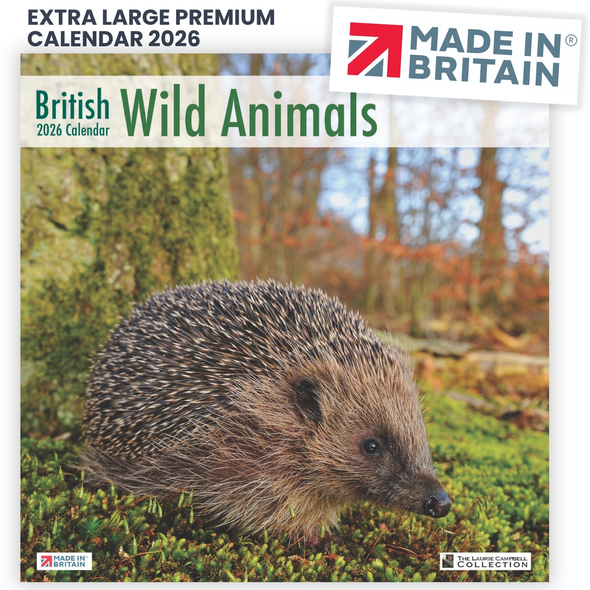 ALLTRADE Calendar 2026 British Wildlife 2026 Calendar UK Holidays Premium MADE IN BRITAIN® with 100% Solar Energy on FSC® paper Photos by LAURIE CAMPBELL Supports Carbon Capture with Tree Planting
