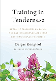 Training in Tenderness: Buddhist Teachings on Tsewa, the Radical Openness of Heart That Can Change the  World