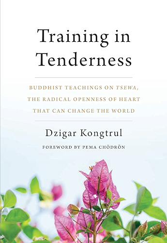 Download Training in Tenderness: Buddhist Teachings on Tsewa, the Radical Openness of Heart That Can Change the World (English Edition) PDF