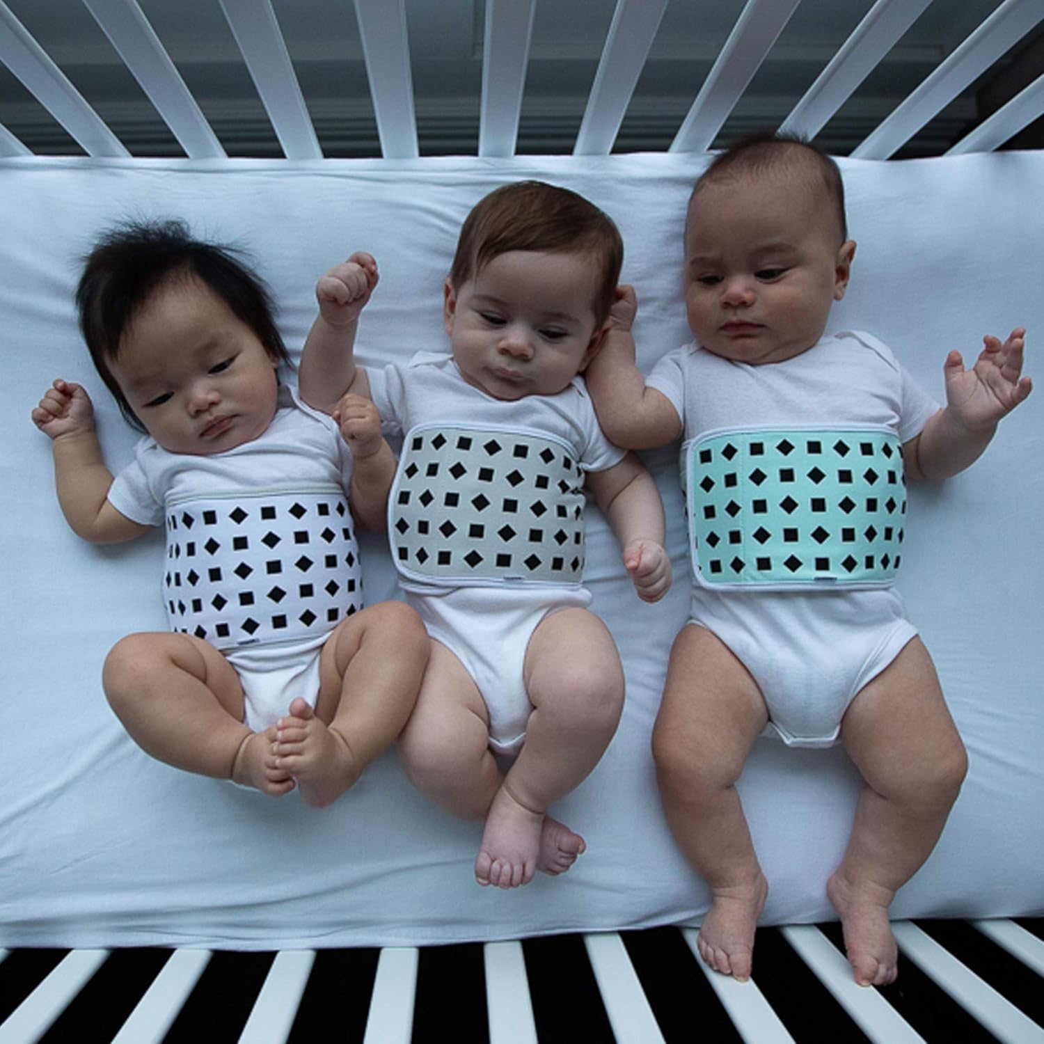 mustela hydra bebe face