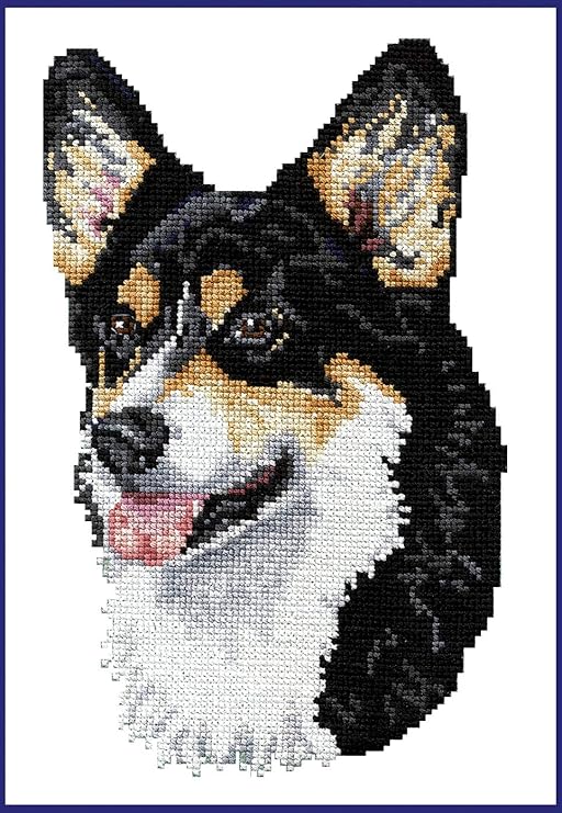 Pembroke Welsh Corgi Color Genetics Google Search Corgi Welsh