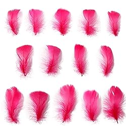 300pcs Wine Red Feathers 2-3 Inches Bulk Feathers