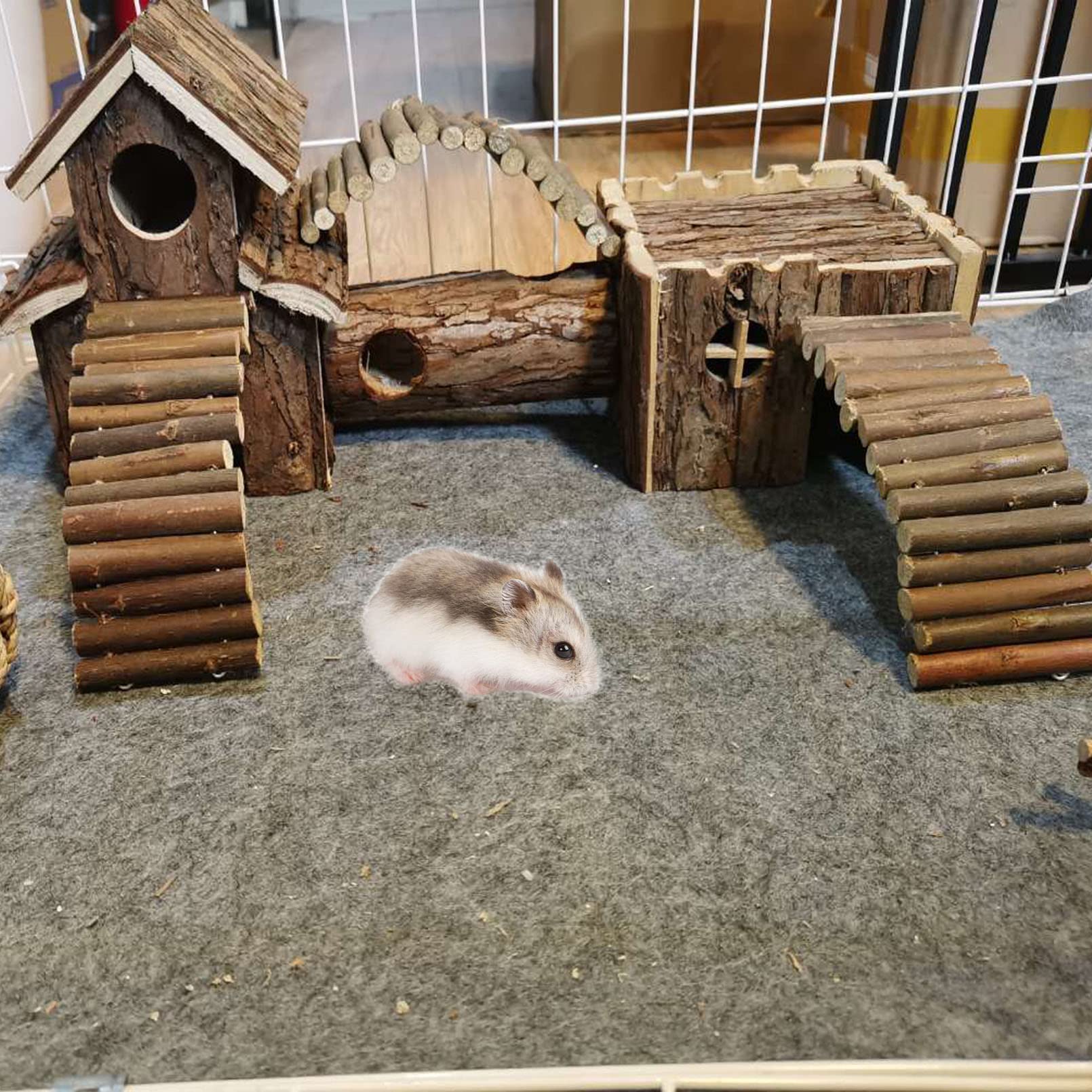 Fresh Look at Mua Natural Wooden Hamster Tunnel Playground Small Animal Multi Room