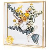 Large Shadow Box Frame 12x12, Glass Wedding Shadow Boxes Display Case, Deep 3D Picture Frame with Traceless Removable Adhesive for Wedding Bouque, Memories, Tickets and Photos