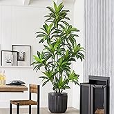 Roselywed Artificial Dracaena Tree 8FT with 243 Leaves & 12 Heads & White Pot Tall Large Fake Faux Tropical Silk Yucca Plant 96 Inch Glossy Thick Leaves for Indoor Home Office Porch Mall School Decor