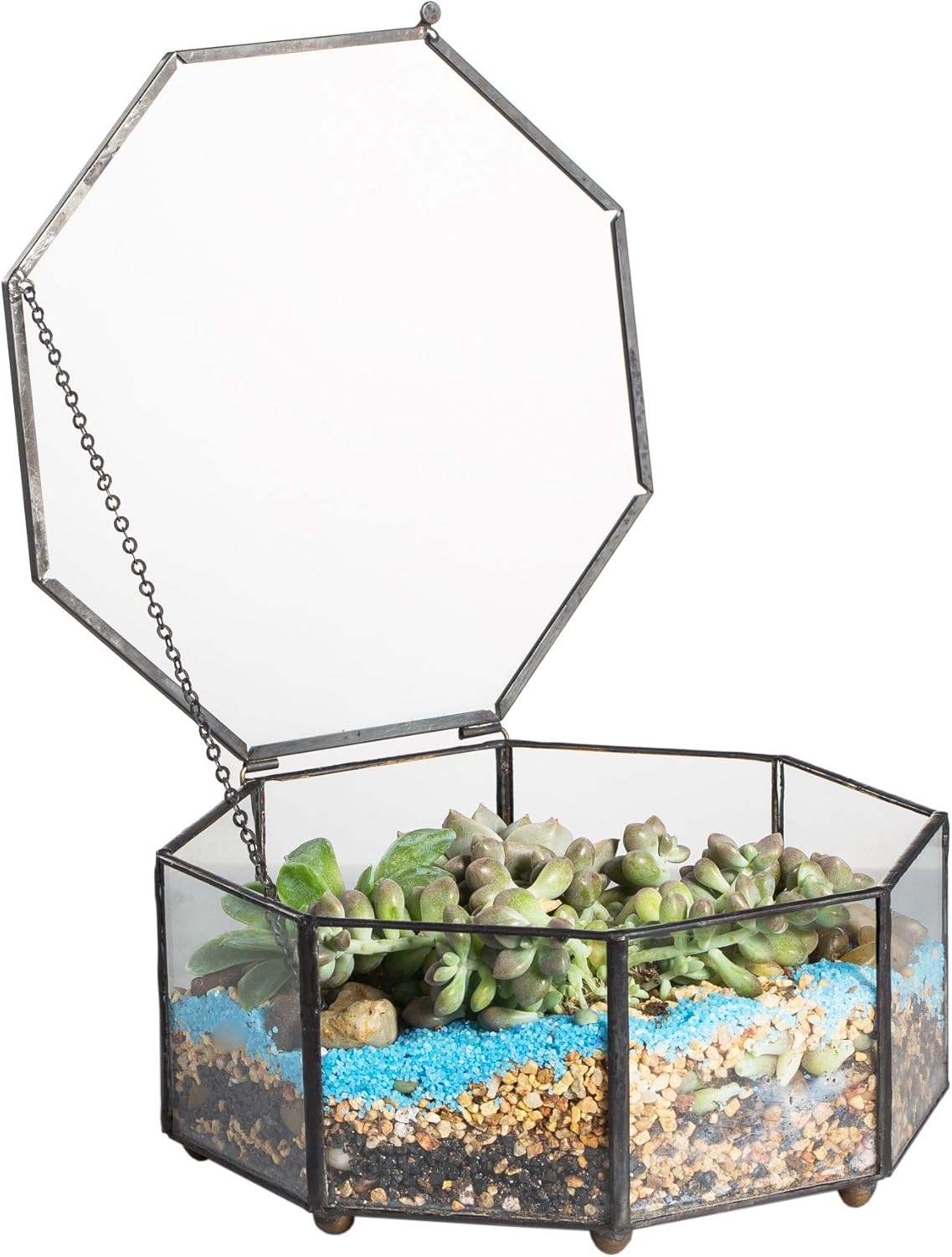 Geometrisch Terrarium - Cosmo - Waterdicht