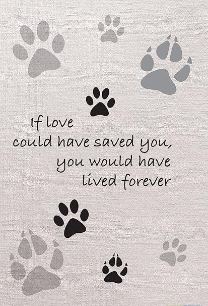 if love could have saved you dog