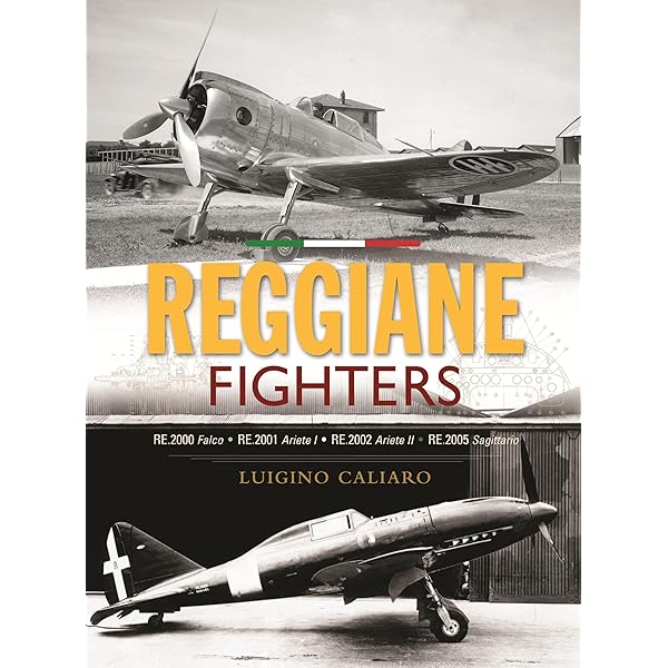 Dornier Do 217: From Bomber to Night-Fighter: Rare Wartime