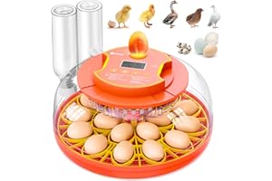 BRNVL 18 Egg Incubator with Automatic Egg Turning, Digital Temperature Humidity Control, Incubator for Hatching Eggs, 360° View Eg-g Candler, Chicken, Quail, Duck, Goose, Turkey Incubato-r for Home & Farm