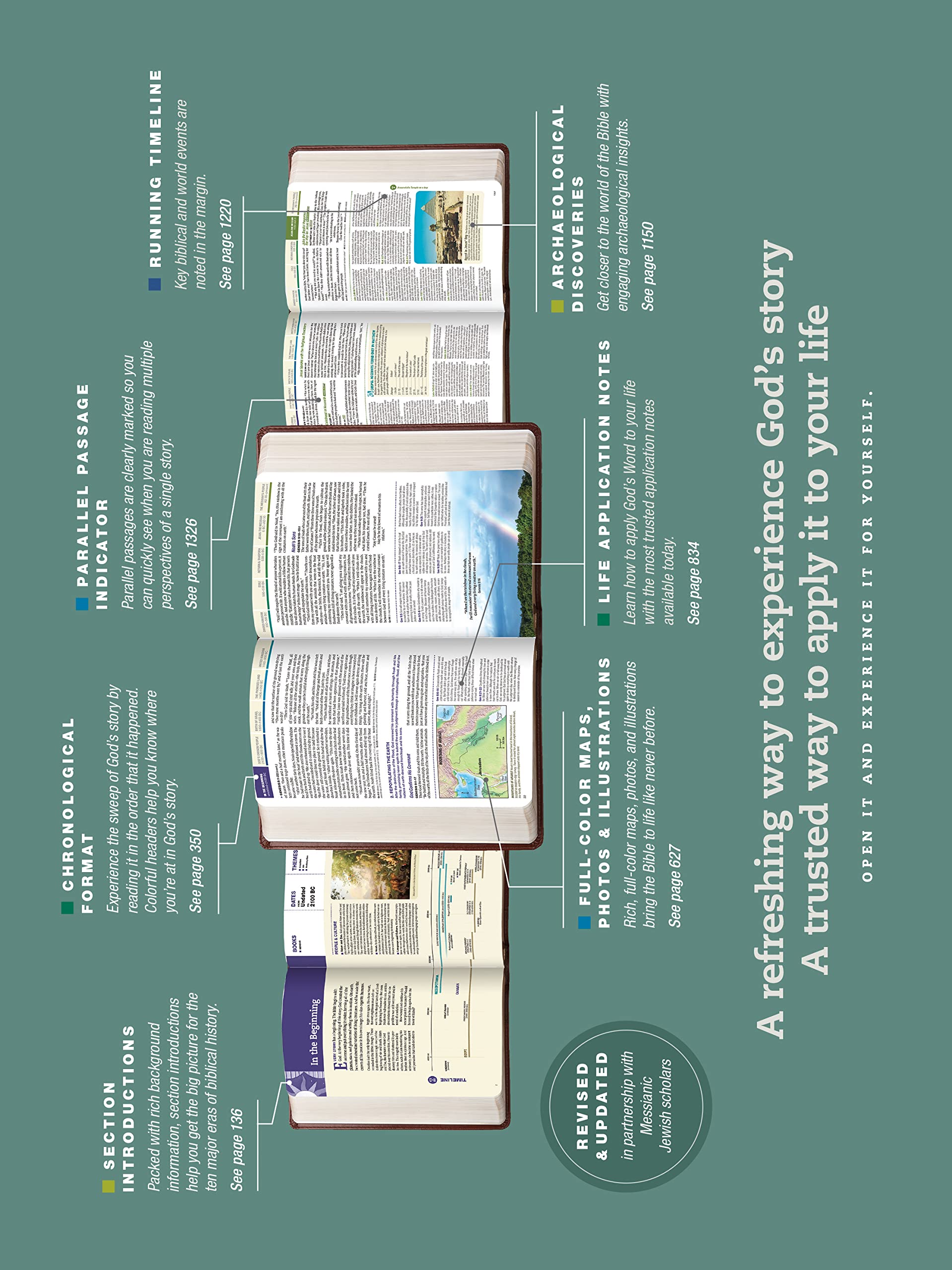 NLT Chronological Life Application Study Bible, Second Edition (LeatherLike, Palm Forest Teal) NLT Chronological Life Application Study Bible, Second Edition (LeatherLike, Palm Forest Teal) Imitation Leather