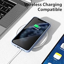 oakxco for iPhone 11 Pro Phone Case Liquid