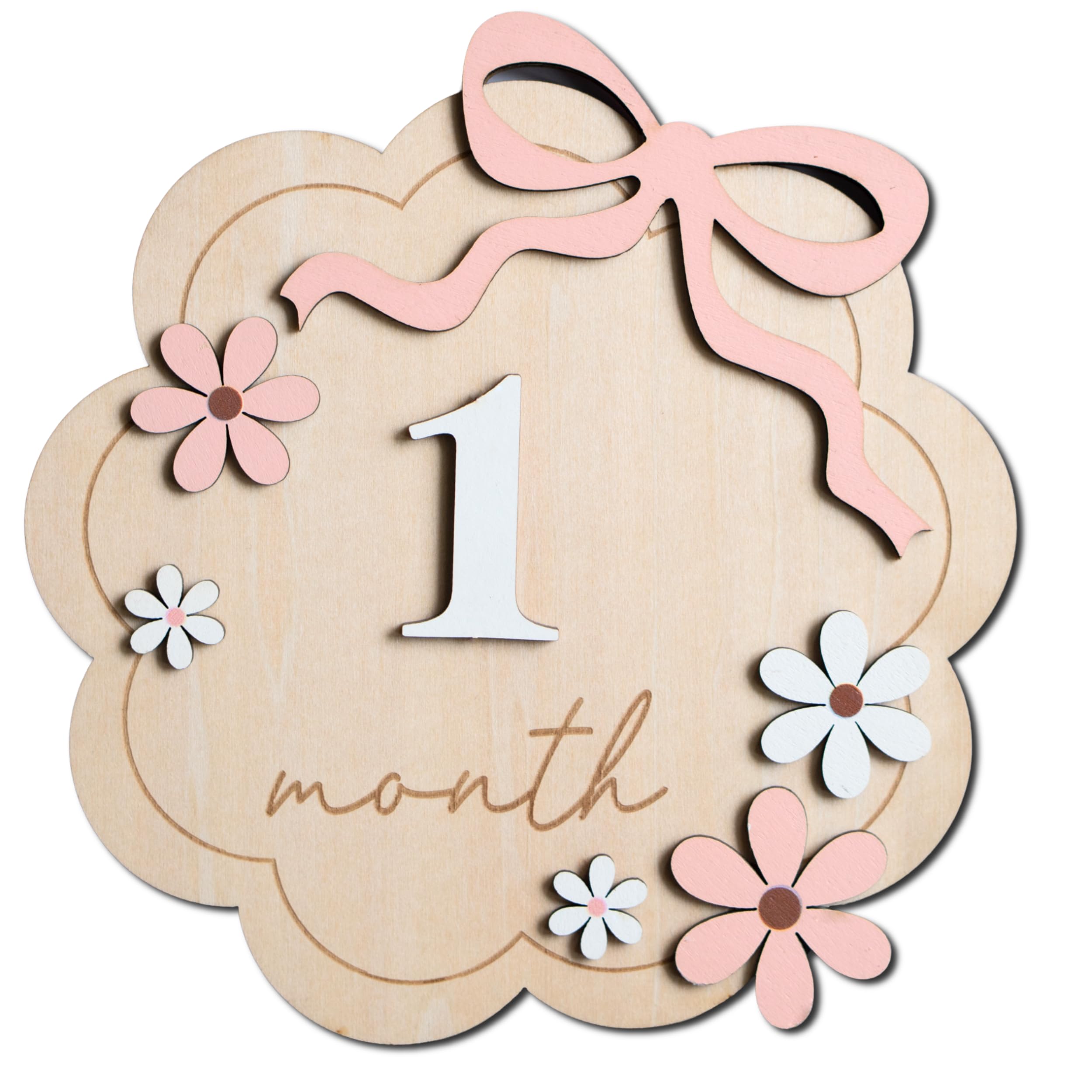 Photo 1 of Baby Monthly Milestone Sign,1-12 Monthly Baby Milestone, Month Milestone Baby Girl, Baby Months Milestone, Newborn Photography Props Double-Sided (B11)