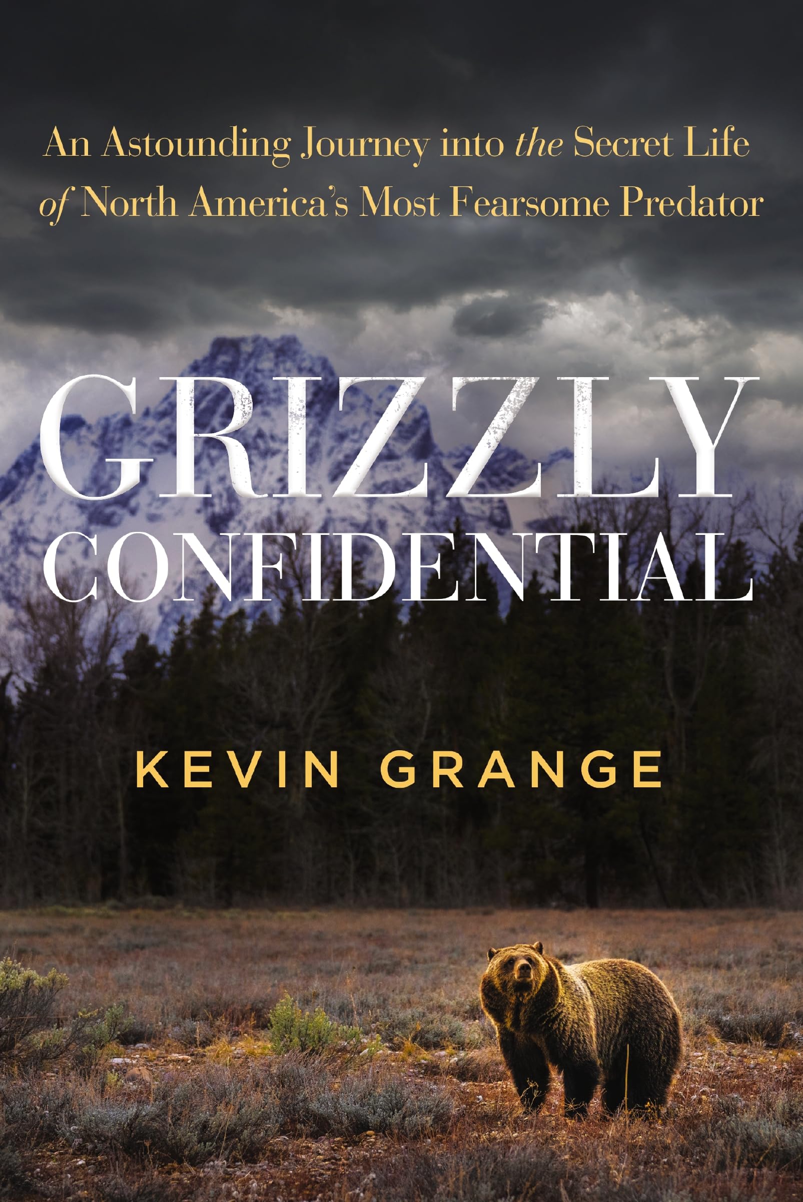 Grizzly Confidential: An Astounding Journey into