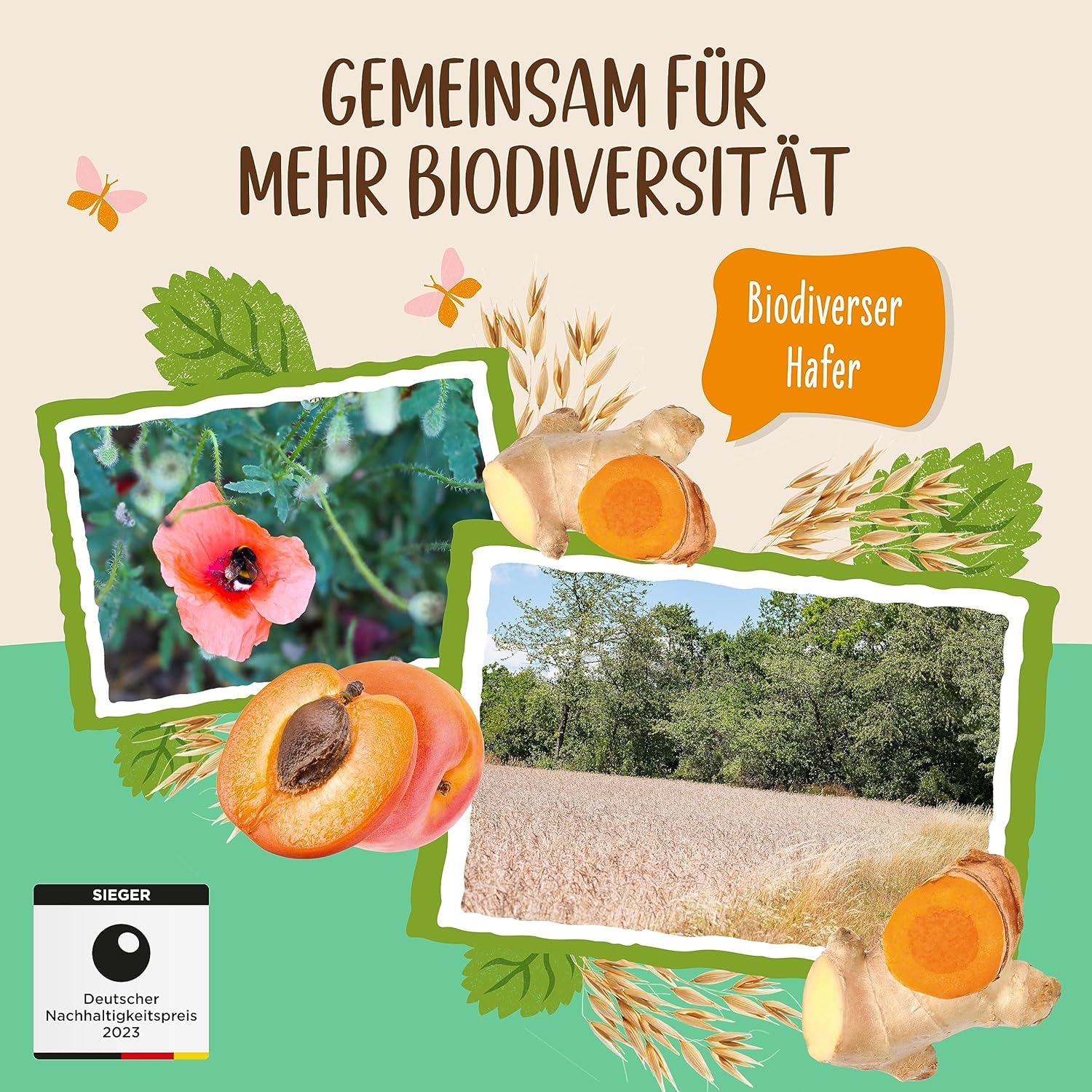 Allos Porridge Ayurveda ungesüßt | Bio Frühstücksbrei | 6 x 450g 5