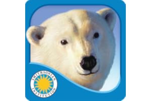 Polar Bear Horizon - Smithsonian Oceanic Collection