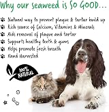 BUGALUGS Plaque Off Remover for Dogs - 100% Natural Seaweed Powder view 3