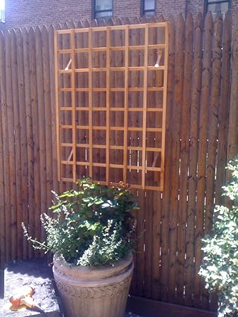Amazon Com Diamond Tropical Hardwoods Solid Teak Wood Trellis 24 Inches Wide X 72 Inches Tall Stainless Steel Hardware Garden Outdoor
