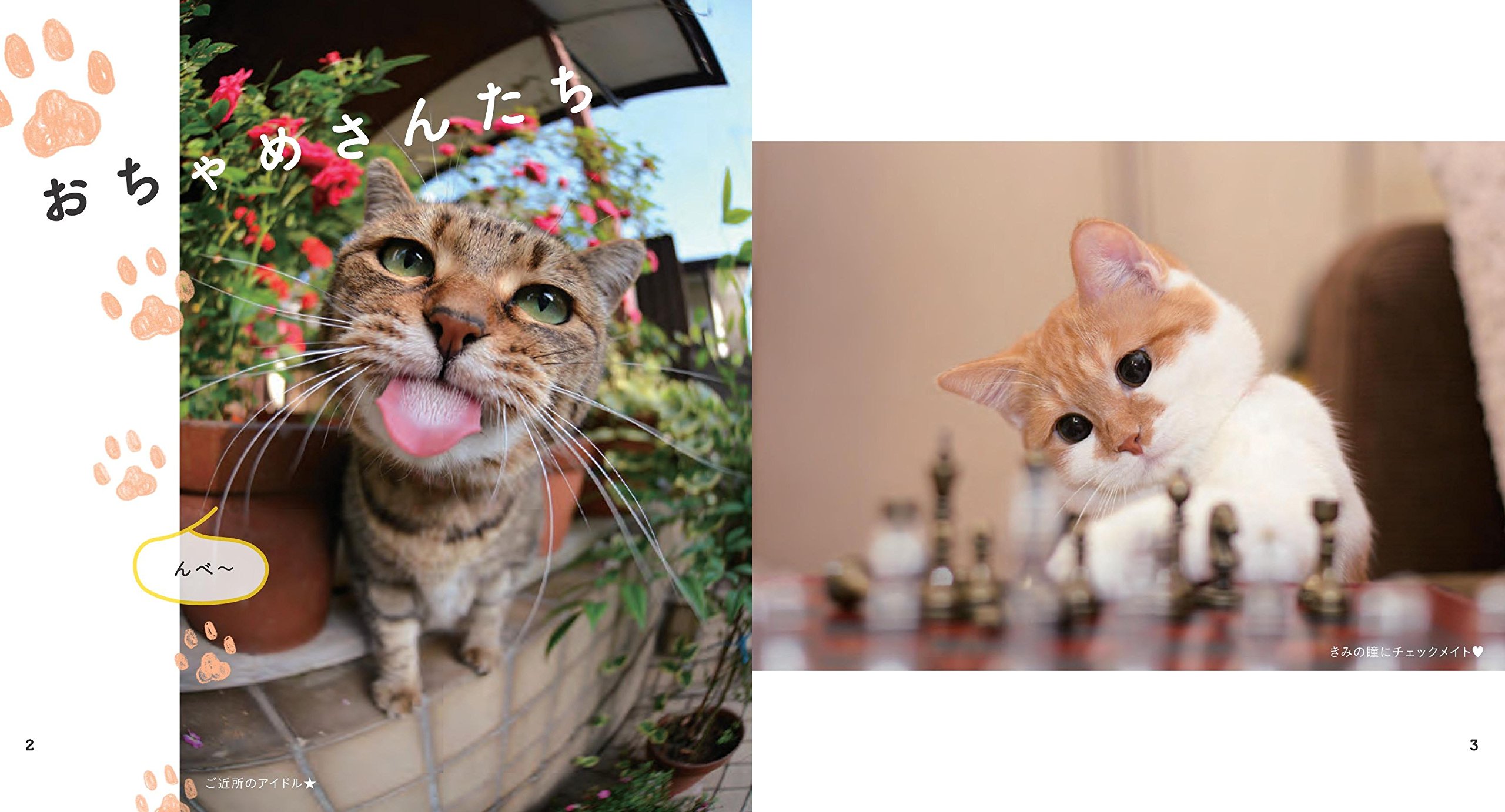 なごみ猫 BEST SELECTION 最高に癒される飼い猫たちが大集合  本 