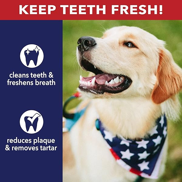 PET FACTORY 100% MADE IN USA BEEFHIDE 5″ CHIP ROLLS DOG CHEW TREATS – NATURAL FLAVOR, 18 COUNT/1 PACK