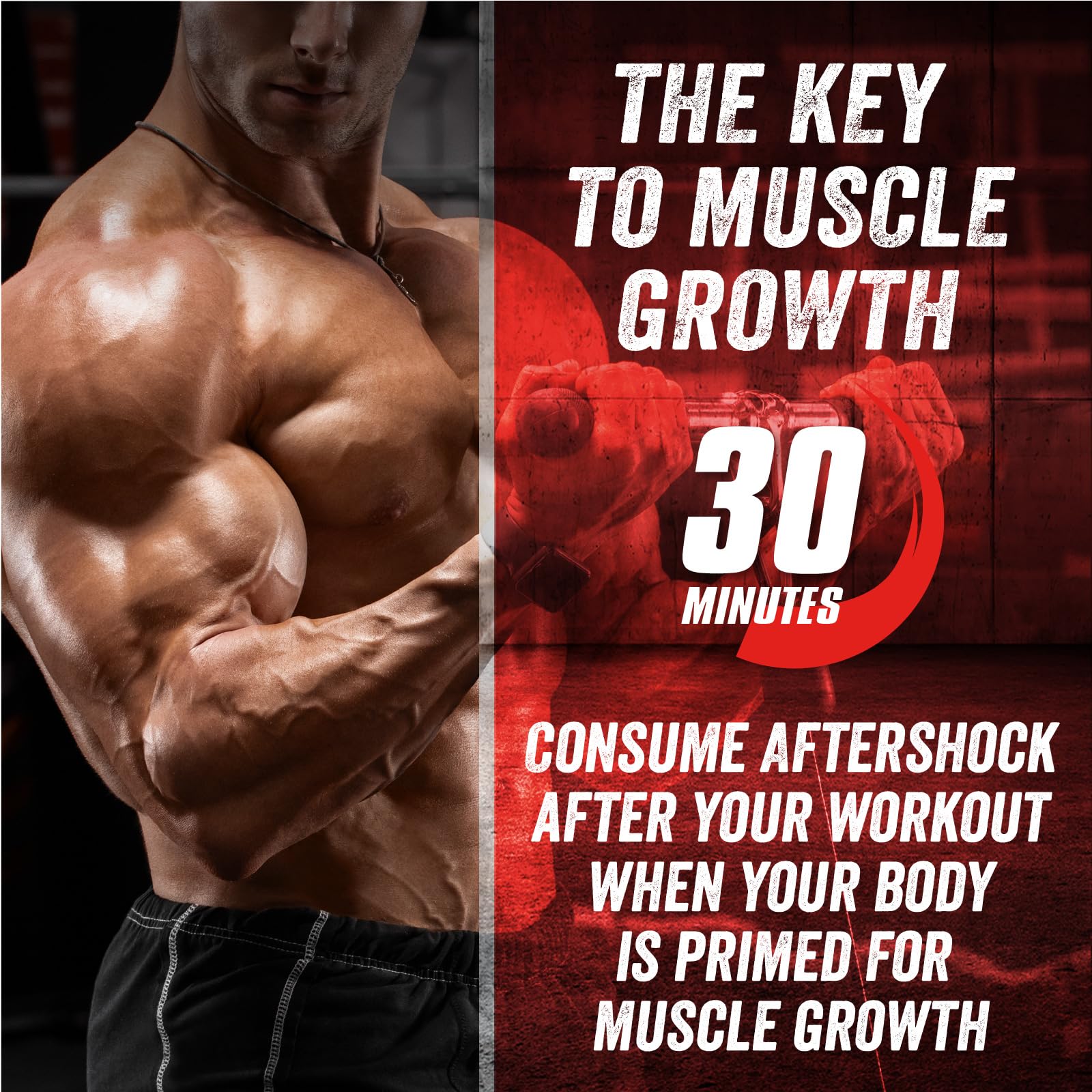 Myogenix Aftershock Post Workout Powder – Whey Protein with Carbs for Muscle Recovery – Orange Creamsicle, 3 lbs