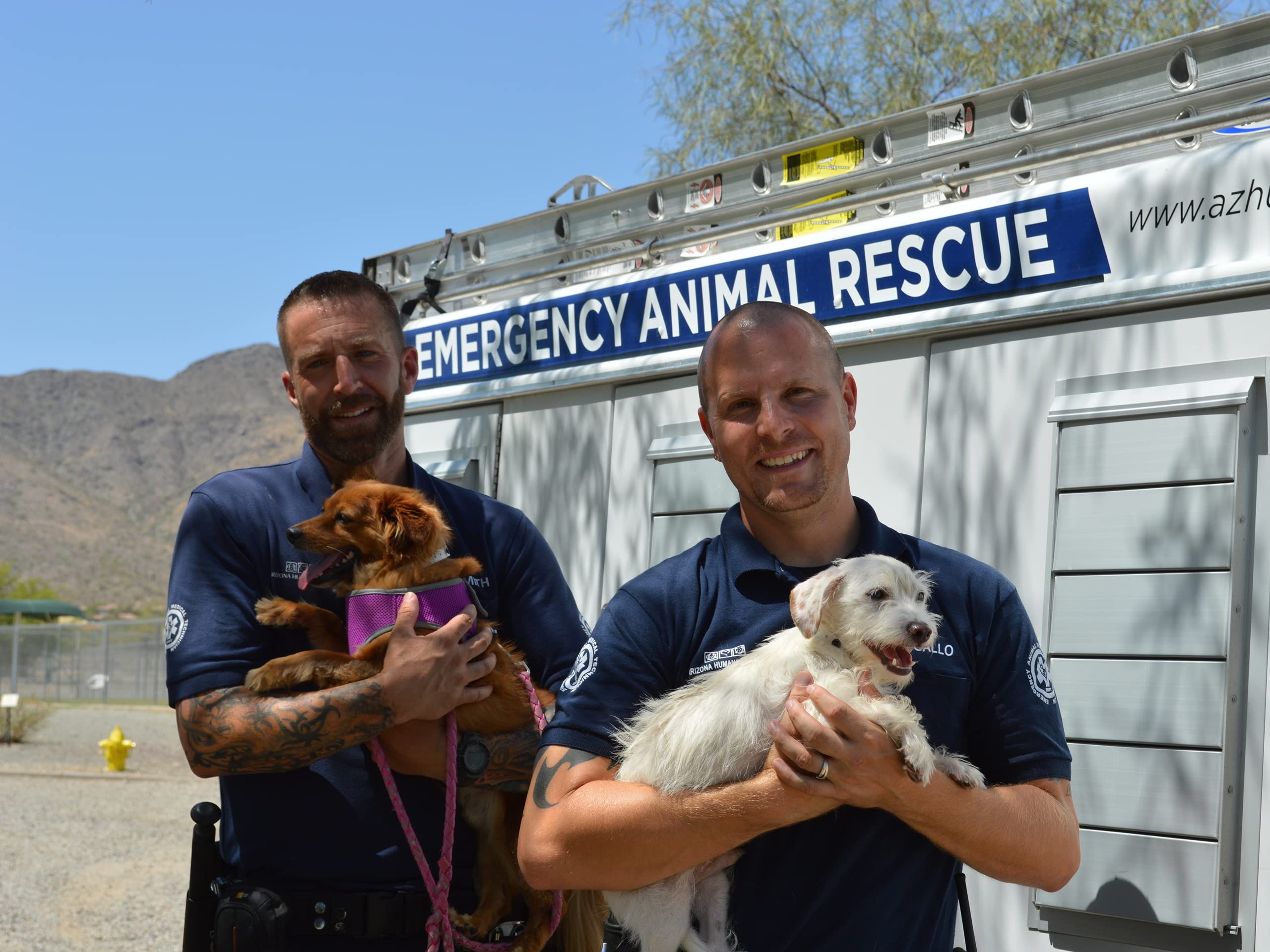 Watch Animal Cops Phoenix Season 4 Prime Video