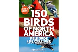 150 Birds of North America, Field Guide & Bird Watching Book for Easy Identification: A Birding Field Guide to 150 North Amer