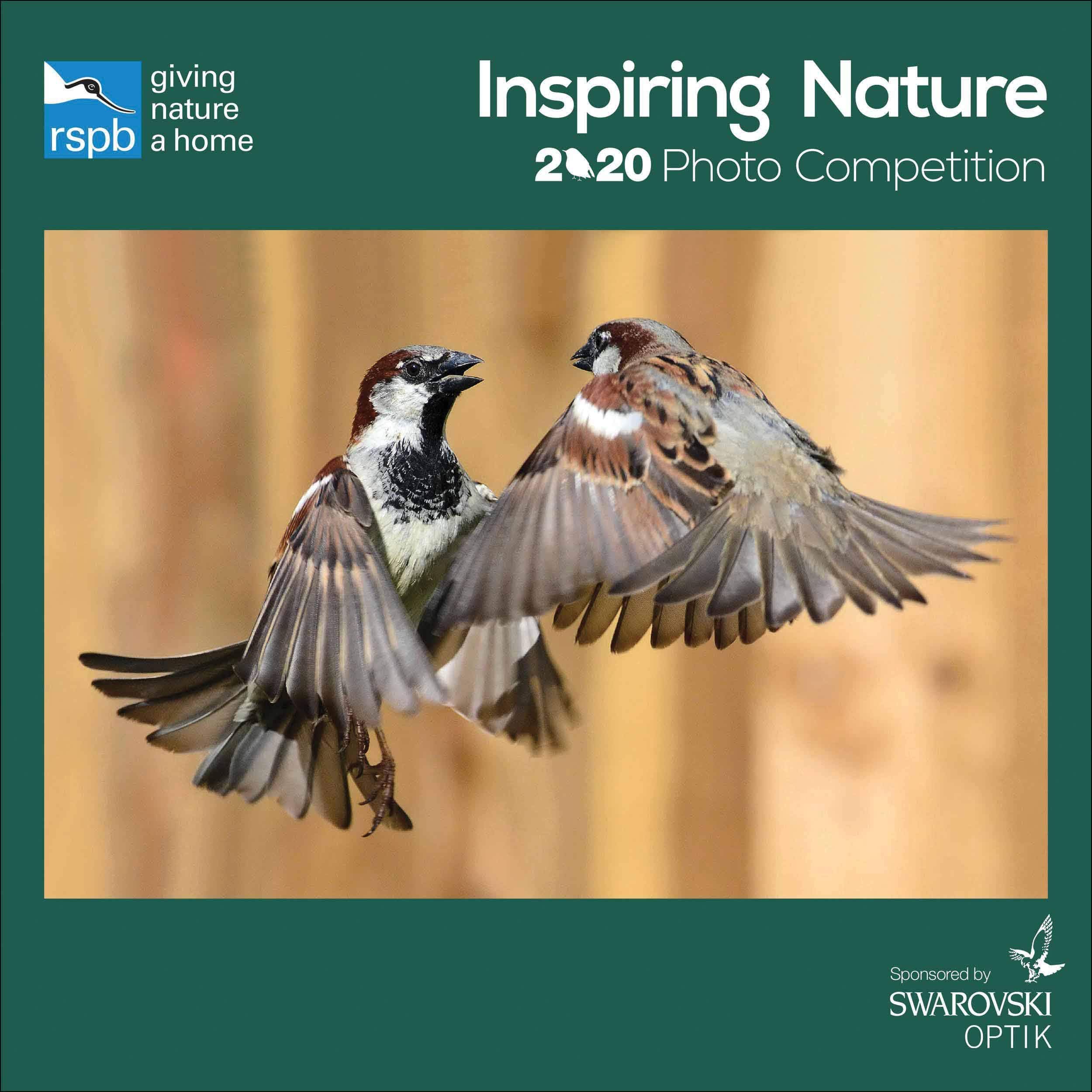 RSPB Photographic Competition Square Wiro Wall Calendar 2020