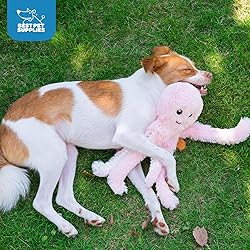 Best Pet Supplies Interactive Squeaky Dog Chew