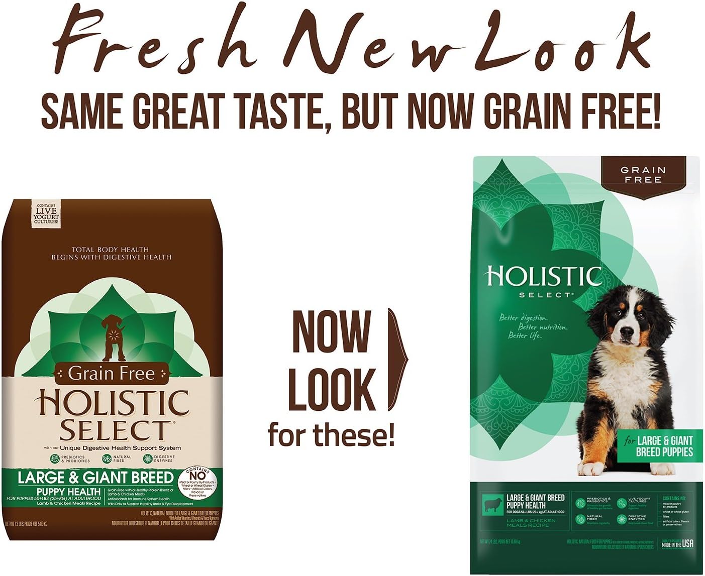holistic select large breed puppy food