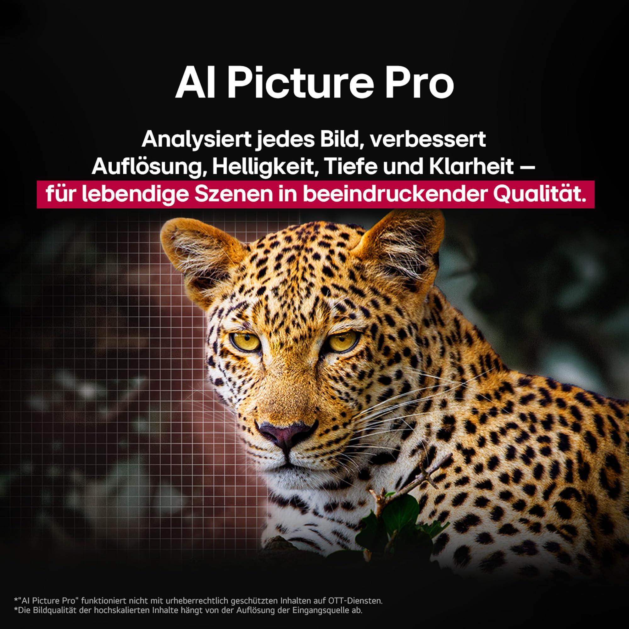 LG OLED65C5ELB TV 65 Zoll (165 cm) 4K OLED evo AI TV (α9 Gen8 4K AI Prozessor, webOS 25, 120Hz (VRR bis zu 144Hz)) [Modelljahr 2025] 9