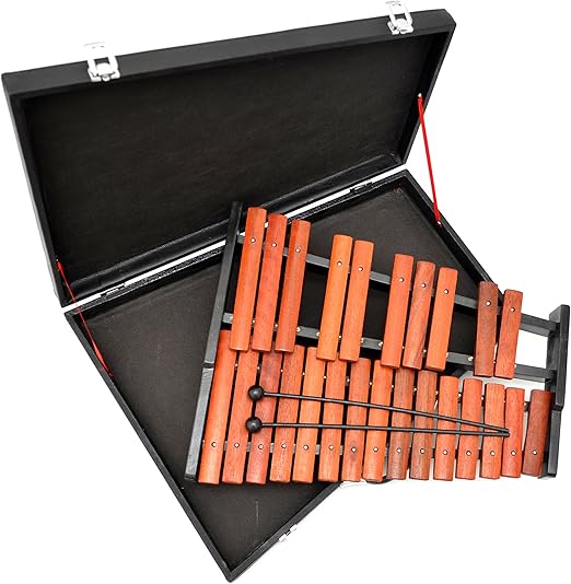 XYlophone chromatique à 25 lames en bois de rose avec étui Amazon.fr