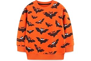 HOMAGIC2WE Toddler Boys Sweatshirts Kids Fall Cotton Long Sleeve Crewneck Casual Cartoon Pullover Loose Soft Outfit Shirt