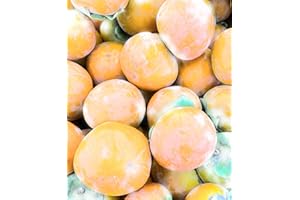 GENIRIC Fresh Persimmon Fuyu 5LBS