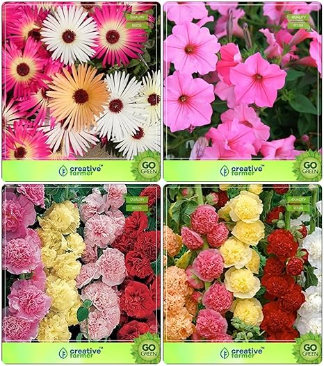 Creative Farmer Flower Seeds : Plant Seed All Season & Winter Combo Burf-Heavens, Petunia-Rose, Hollyhocks, Hollyhock Flower Seeds Pack By CreativeFarmer