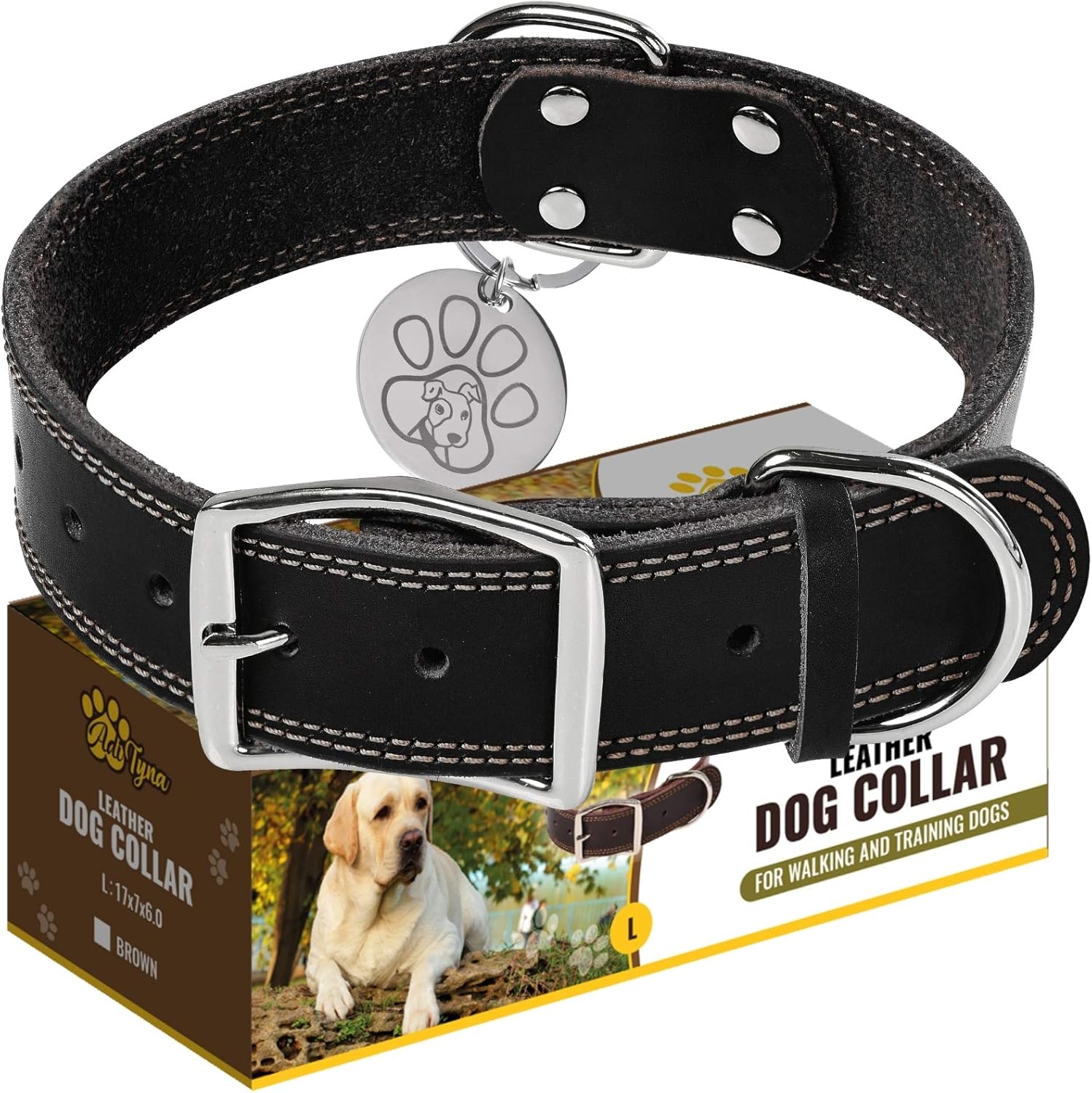 best dog collars for large breeds