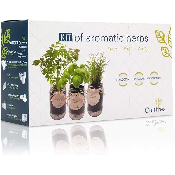 BIO/ORGANICO Eneldo - Semillas ecológicas de plantas naturales ...
