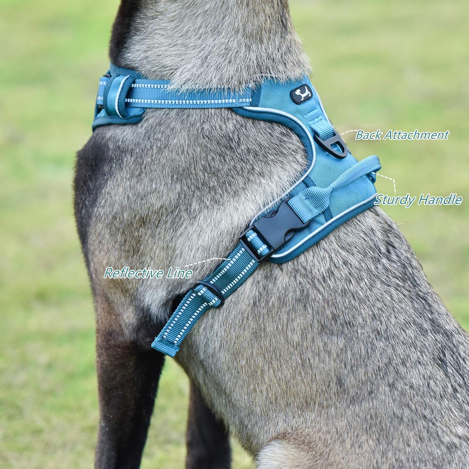 Louvra Large Dog Harness Blue Safety Reflective No Pulling Dog Harness with Handle Adjustable Heavy Duty Chest and Back D Rings Pet Vest Harness for Large Dog Running Walking(Blue,L) - Image 4