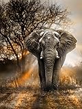 Orsit 5D Diamond Painting Kit DIY Craft Home Wall Decoration – Elephant (12 x 18 inches/30 x 45 cm)