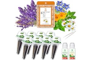 HIHOYA Lavender Seed Pod Kit, 8 Pod Kit (Include Seed Lavender/Chamomile/Holy Basil/Borage/Calendula/Mint) Fresh Tea Seed Pod Kit Compatible with Hydroponics