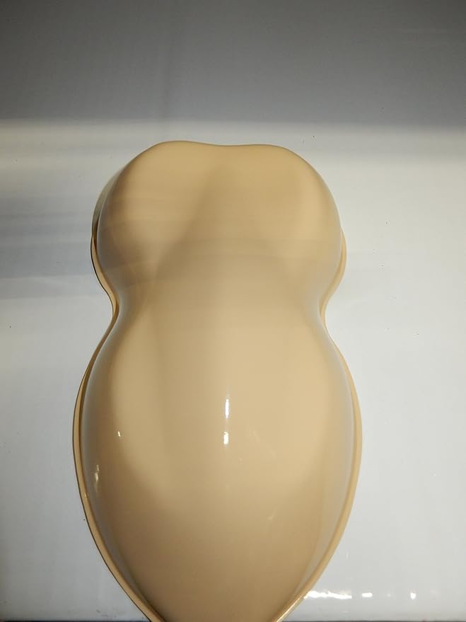 Amazon.com: High Gloss Desert Sand Acrylic Enamel Single Stage