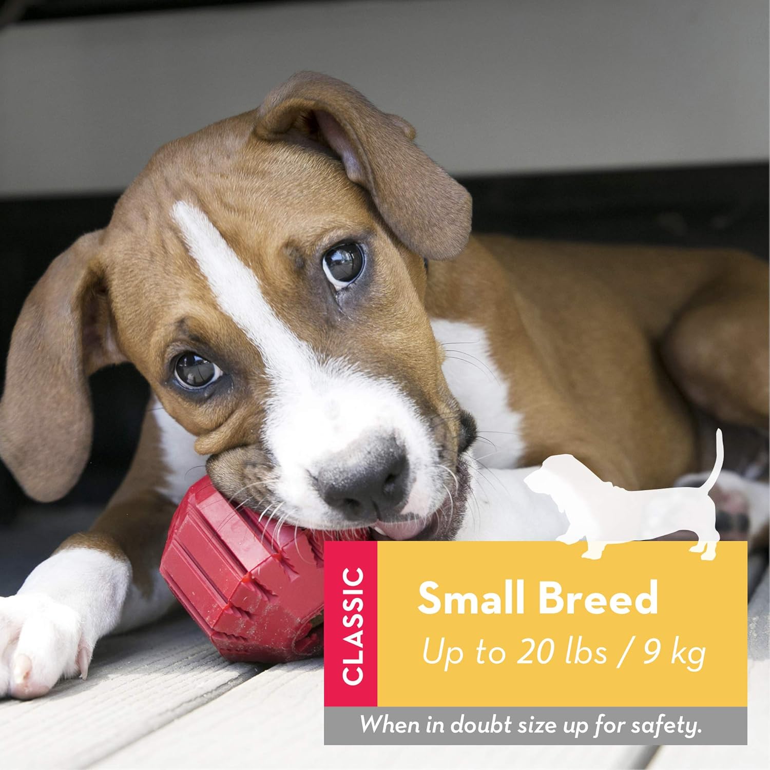 kong stuff a ball large