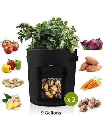 Bolsas para plantas | Amazon.es