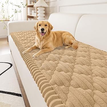 Amazon.com New Releases: The best-selling new & future releases in