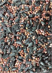 25lb Food Plot Seed Mix | Grain Sorghum Peredovik Sunflowers Red Clover Forage Sorghum Trophy Rape | Birds & The Bees Blend | Turkey Dove Pheasant Quail Deer Ducks Geese Honey Bees