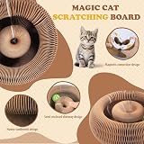 bonitacrylic Kitty Kurlz Cat Toys Indoor/Outdoor Scratcher Track Ball view 6
